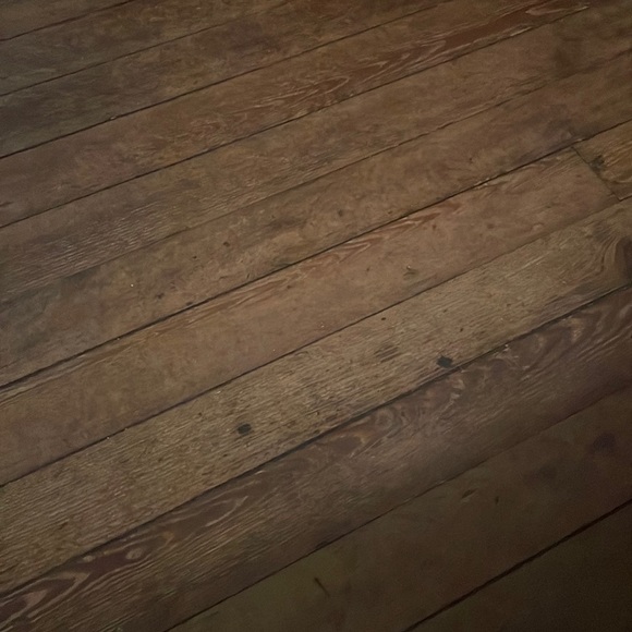 Meet your Posher, Gregory - Picture 1 of 1